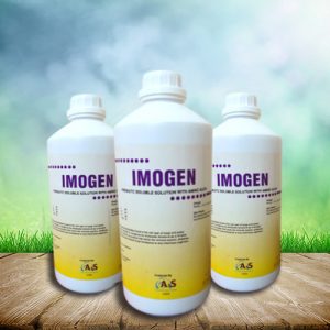Imogen – A3S